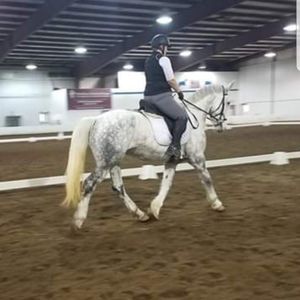 Meet your Posher, Kate